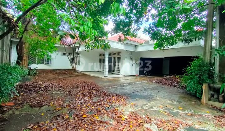 Hunian Lama, Sejuk , Rindang &Asri dengan Nilai Investasi Tinggi, Cocok untuk Hunian, Komersil, Mepet Ragunan di Jagakarsa, Jaksel