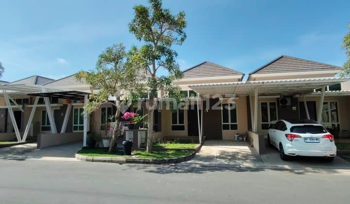 Clister Citrine 55/90