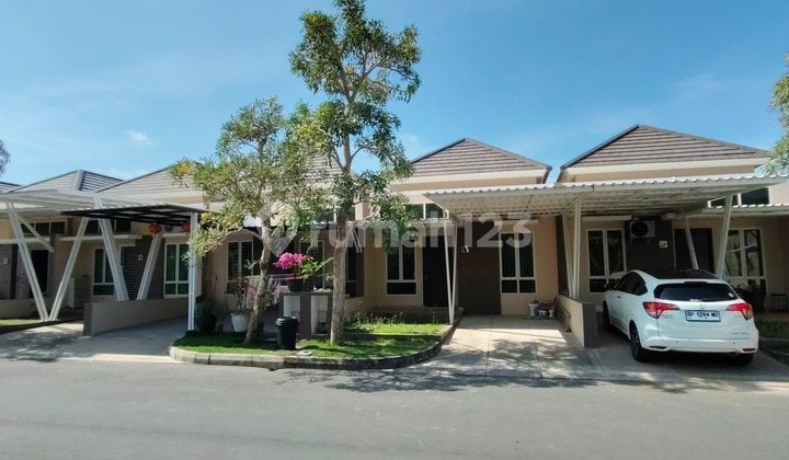 Clister Citrine 55/90