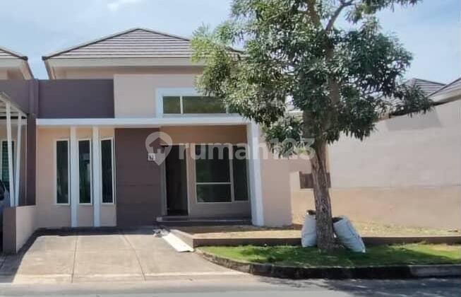 Cluster Citrine 90/188