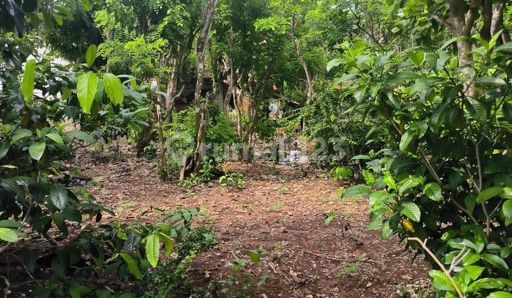 SURE CLOSING FOR SALE LAND IN UNGASAN LOCATION, SOUTH KUTA, BADUNG