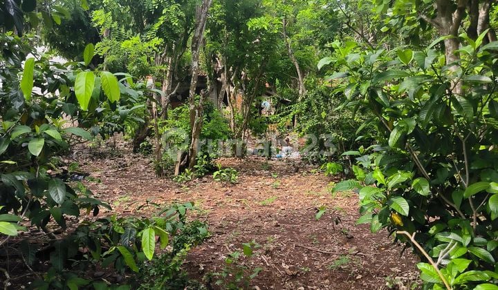 SURE CLOSING FOR SALE LAND IN UNGASAN LOCATION, SOUTH KUTA, BADUNG