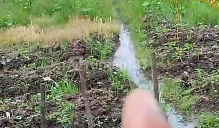DUH SUSUSUSUPER DEAL DI JUAL TANAH LOKASI BANJAR SUDIMARA TABANAN