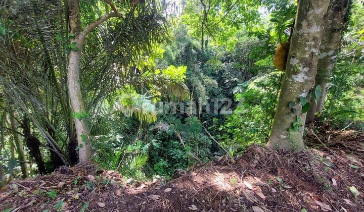 Dijual tanah lokasi payagan gianyar bali