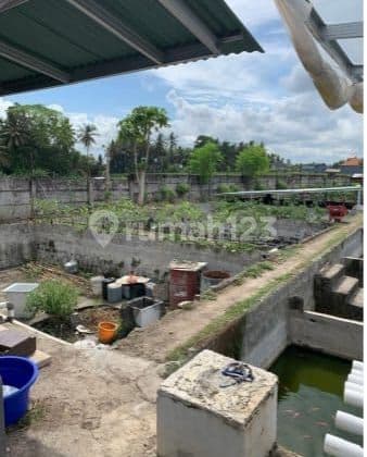 PASTI DEAL DI JUAL TANAH VIEW SAWAH LOKASI JALAN PANTAI PURNAMA SUKAWATI GIANYAR