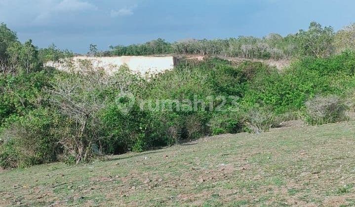 PASTI DEAL DI JUAL TANAH LOKASI PANDAWA KUTUH NUSA DUA KUTA SELATAN BADUNG