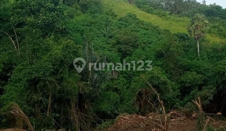 PASTI DEAL DI JUAL TANAH VIEW SUNGAI LOKASI SUKAWATI GIANYAR