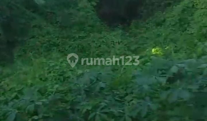 SURE DEAL ON LAND FOR SALE LOCATION KRISNA CANGGU KUTA UTARA BADUNG