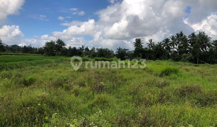 PASTI DEAL DI JUAL TANAH VIEW HUTAN & SAWAH LOKASI PEJENG UBUD GIANYAR