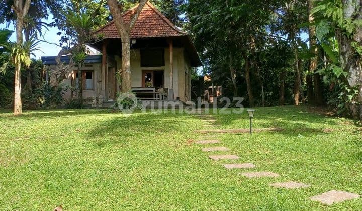 PASTI DEAL DI JUAL TANAH BONUS BANGUNAN VIEW LEMBAH LOKASI PEJENG UBUD GIANYAR