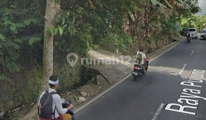PASTI DEAL DI JUAL TANAH VIEW SAWAH PINGGIR JALAN LOKASI TEGALLALANG UBUD GIANYAR