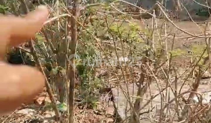 PASTI DEAL DI JUAL TANAH LOKASI PECATU KUTA SELATAN BADUNG