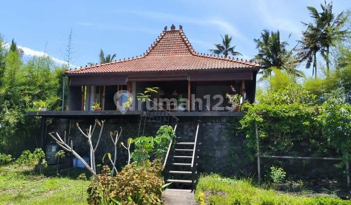 PASTI DEAL DI JUAL RUMAH JOGLO VIEW SAWAH & HUTAN LOKASI PEJENG UBUD GIANYAR