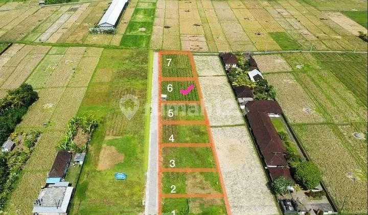 PASTI DEAL DI JUAL TANAH KAVLING LOKASI KEDUNGU KEDIRI TABANAN PASTI DEAL DI JUAL TANAH KAVLING LOKASI KEDUNGU KEDIRI TABANAN