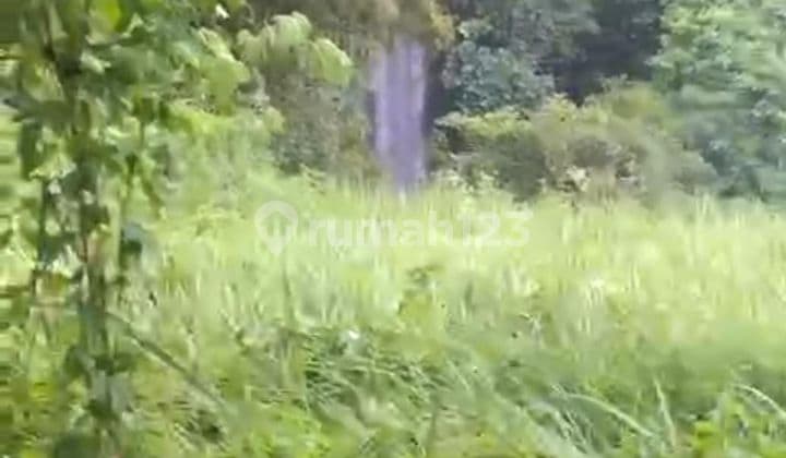 PASTI DEAL DI JUAL TANAH VIEW AIR TERJUN & SUNGAI LOKASI KEMENUH UBUD GIANYAR