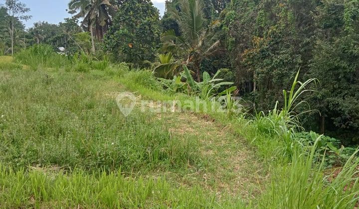 PASTI DEAL DI JUAL TANAH VIEW SAWAH LOKASI PEJENG UBUD GIANYAR