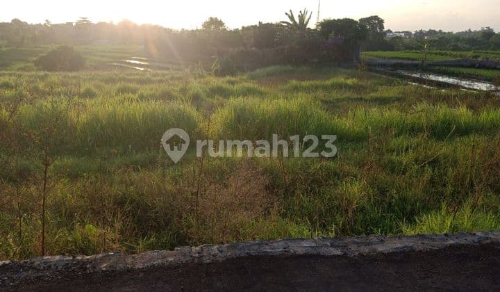 PASTI DEAL DI JUAL TANAH VIEW SAWAH LOKASI MUNGGU MENGWI BADUNG