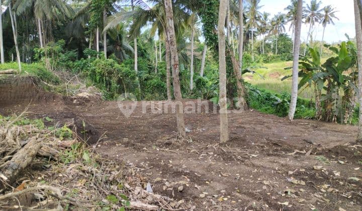 PASTI DEAL DI SEWAKAN TANAH VIEW SAWAH LOKASI PEJENG UBUD GIANYAR