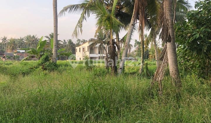 PASTI DEAL DI JUAL TANAH VIEW SAWAH LOKASI PEJENG KAWAN UBUD GIANYAR
