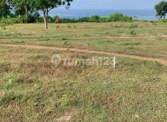 Pasti Deal Di Jual Tanah Lokasi Nusa Ceningan Klungkung