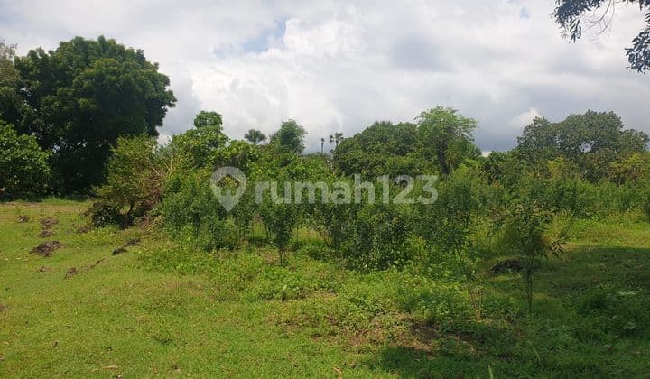 SUSUSUSUPER DEAL DI JUAL TANAH VIEW LAUT & LEMBAH LOKASI TULAMBEN KARANGASEM