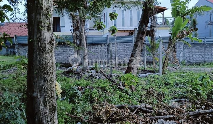 PASTI DEAL DI JUAL TANAH LOKASI SEMER UMALAS KEROBOKAN KUTA UTARA BADUNG