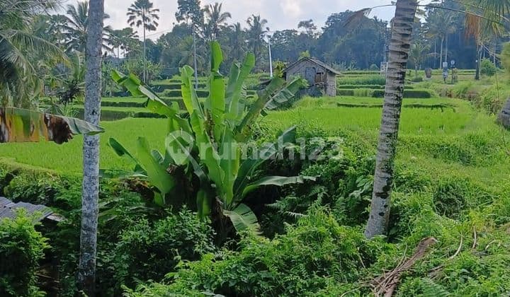 PASTI DEAL DI JUAL TANAH LOSS SUNGAI LOKASI KENDERAN TEGALLALANG UBUD GIANYAR