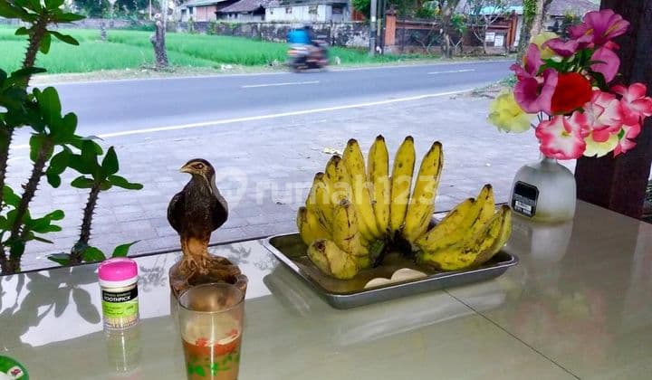 SUSUSUSUPER DEAL DI JUAL HOTEL LOKASI DENPASAR BARAT