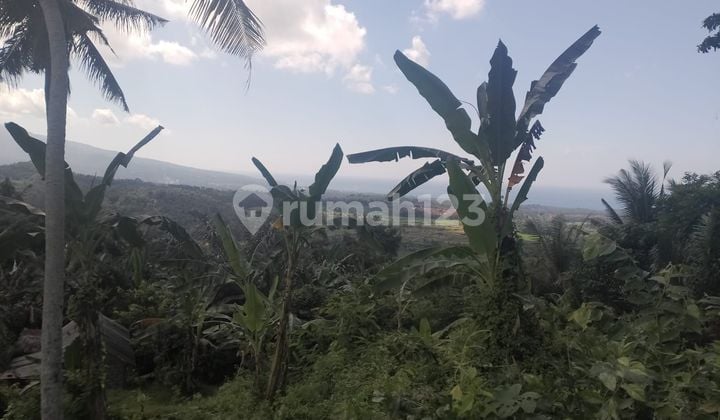 PASTI DEAL DI JUAL TANAH VIEW LAUT LOKASI BUKIT GUMUNG TENGANAN MANGGIS KARANGASEM