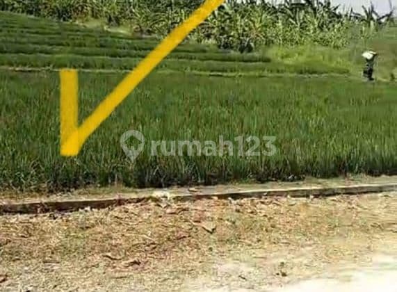 PASTI DEAL DI JUAL TANAH LOSS PANTAI VIEW LAUT LOKASI SUDIMARA TABANAN