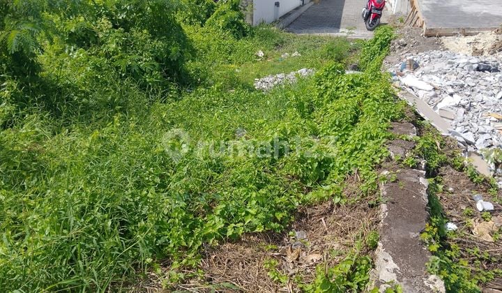SURE DEAL ON LAND FOR SALE LOCATION KAYU TUANG CANGGU KUTA UTARA BADUNG
