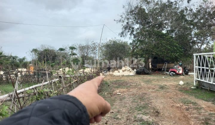 PASTI DEAL DI JUAL TANAH LOKASI NUSA DUA KUTA SELATAN BADUNG