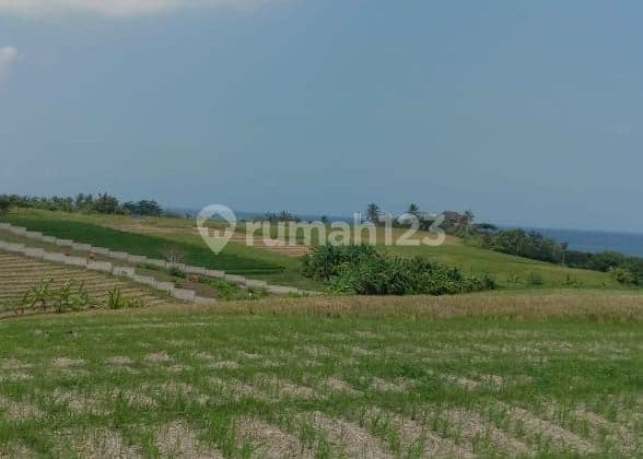 PASTI DEAL DI JUAL TANAH VIEW LAUT & SAWAH LOKASI KLECUNG SELEMADEG TIMUR TABANAN
