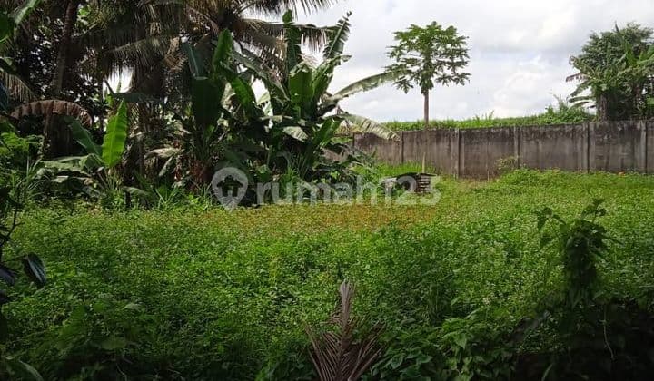 SUSUSUSUPER DEAL DI JUAL TANAH LOSS SUNGAI VIEW SAWAH LOKASI KENGETAN UBUD GIANYAR