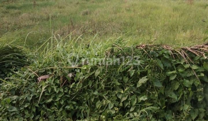 DEFINITELY SOLD LAND FOR SALE LOCATION MENGWI BADUNG
