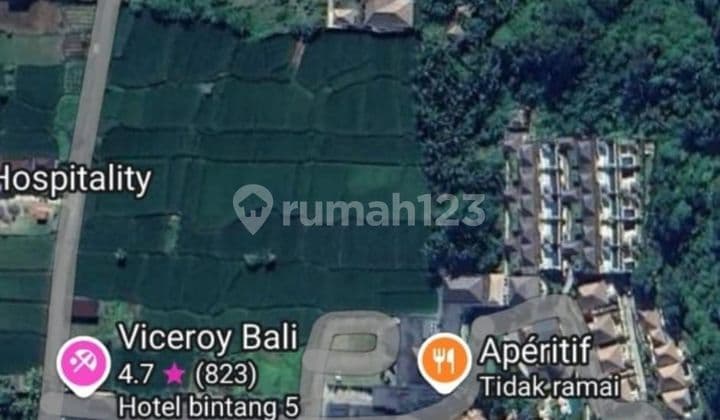 SURE DEAL FOR SALE LAND LOSS PETANU RIVER LOCATION NEAR CENTRAL UBUD GIANYAR