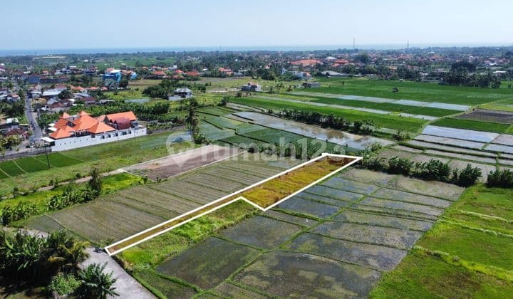 SOSO SO PASTI DI JUAL TANAH VIEW SAWAH LOKASI NYANYI BERABAN KEDIRI TABANAN