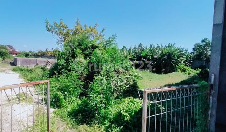 SURE DEAL ON LAND FOR SALE LOCATION TIBUBENENG CANGGU KUTA UTARA BADUNG
