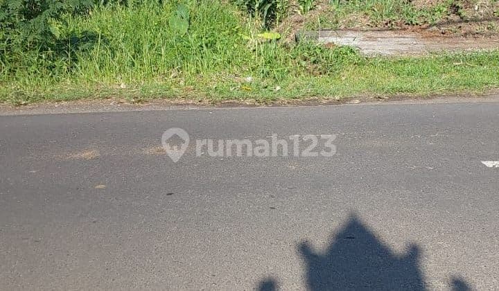 PASTI DEAL DI JUAL TANAH LOKASI BONGAN TABANAN