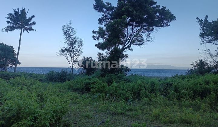 PASTI DEAL DI JUAL TANAH LOSS PANTAI VIEW LAUT LOKASI PADANG BAI MANGGIS KARANGASEM
