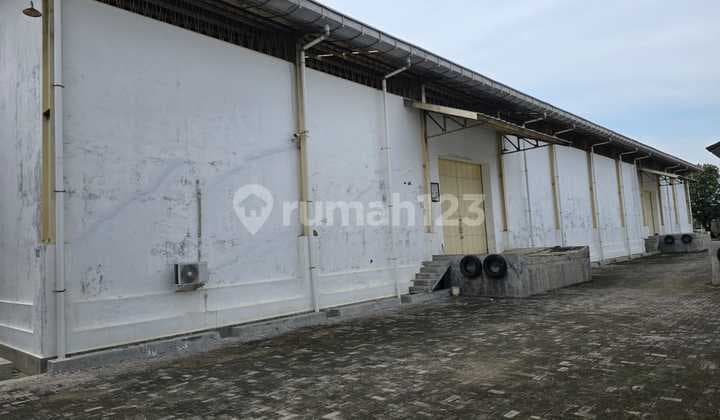 Warehouse for Rent in Pantura East Semarang