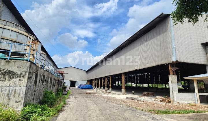 Large Warehouse for Rent in South Tambun (East Bekasi)