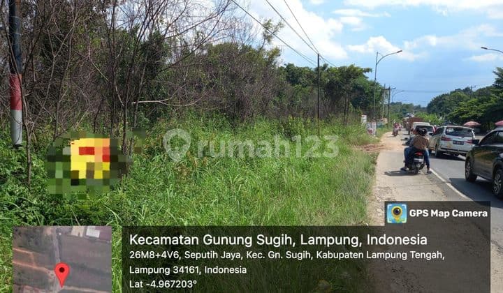 Tanah SHM Dekat Akses Tol di Gunung Sugih, Lampung Tengah