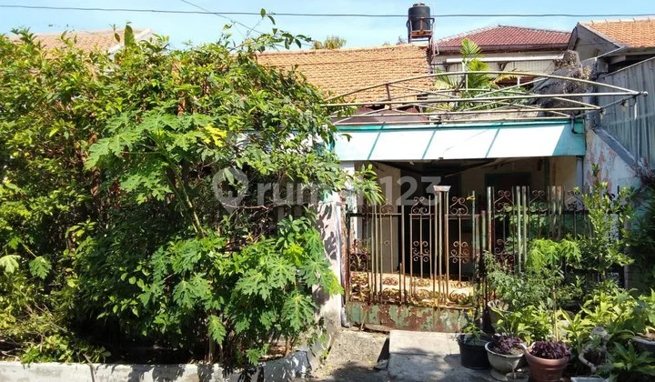 Dijual Rumah Hitung Tanah Darmo Permai Timur Dijual Rumah Hitung Tanah Darmo Permai Timur
