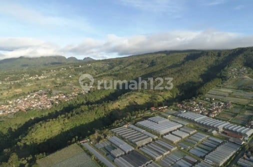 Tanah 10 Hektar di Lembang Dekat Alun Alun Lembang