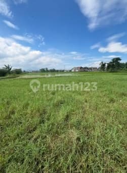 Tanah Potensial 1,5 Hektar di Jalan Raya Rancacatang Sapan Tegalluar Kec. Bojongsoang