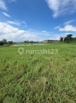 Potential 1.5 Hectare Land on Rancacatang Sapan Tegalluar Main Road, Bojongsoang District