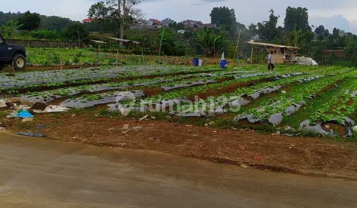 Tanah Di Daerah Sariwangi Mekarwangi Parongpong