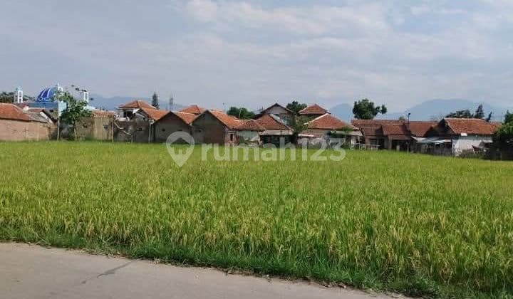 Tanah Sawah Di Ciparay Kabupaten Bandung