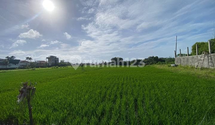 Dijual untuk di Sewa Tanah Seluas 1000xxxx Meter Persegi untuk Disewa dengan Pemandangan Laut di Cemagi - Af585